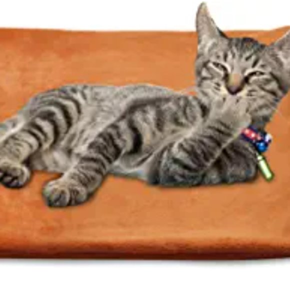 MARUNDA Pet Heating Pad,Cat Dog Electric Pet Heating Pad Indoor Waterproof, Cons